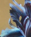 Plants: image 1 0f 4 thumb